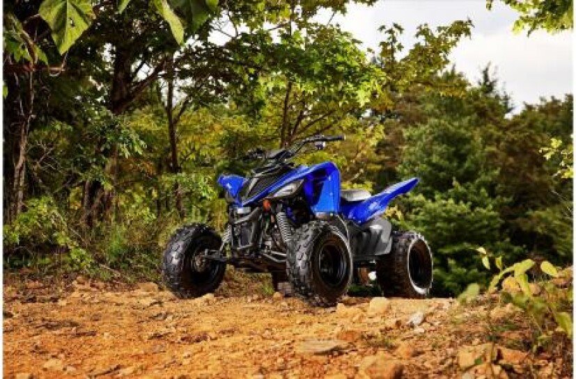 2022-Yamaha-Raptor_90-ATV--Motorcycle-201266310-f58a2195216acf92f2a39db8969afae4