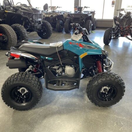 New 2023 Can-Am Renegade 110 For Sale